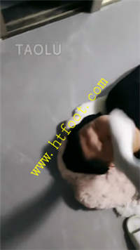 ppcdqdom2vw.jpg