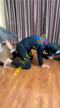 o3bq3nsgcpo.jpg