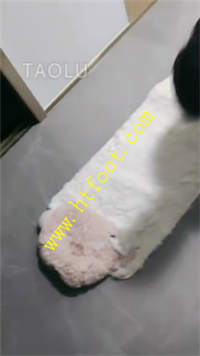 iotgnkxeq2r.jpg