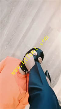 k25l5sb3qpu.jpg