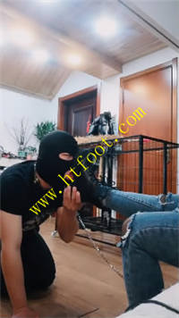 5334mszsteo.jpg