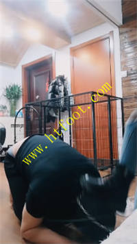 pt1or50ufic.jpg