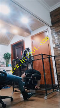 b1dofhx3tsv.jpg