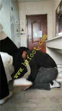 5n2fgjogjhf.jpg