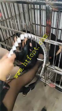 go0oza1wup3.jpg