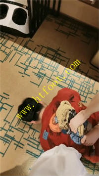 eedohshmsl4.jpg