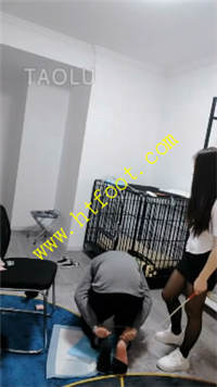 xogyim2qbv2.jpg