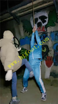 lqhcctwag3m.jpg