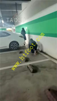 f2lmy11d5lo.jpg