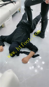 455eof21whf.jpg