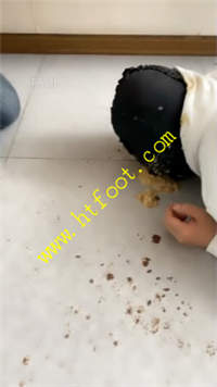 yu1f0zvzbg2.jpg