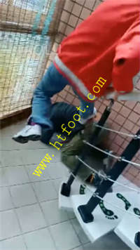 qycpal2oa3i.jpg