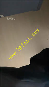hmst5sp11o5.jpg
