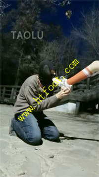pszgz3rbhtu.jpg
