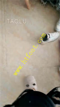 2oh3jt5dx40.jpg