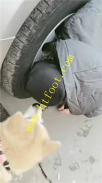lnauk0pvm0w.jpg