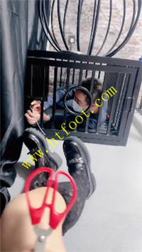 wywp4ff53hw.jpg