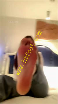 shohajpt4px.jpg