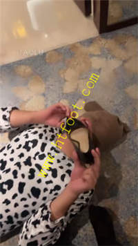 sgqofttpqiz.jpg