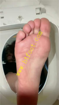 d0voaenfhse.jpg