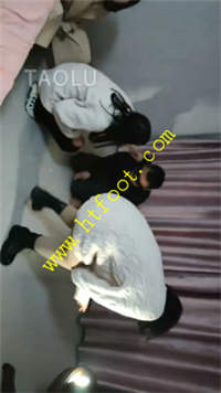 qld0pql3g14.jpg
