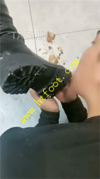 tfh331tdesh.jpg