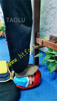 fa1331ptvnc.jpg