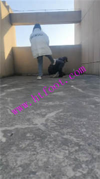 rcr2cpn30hn.jpg