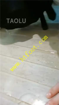 lh5sq3g1kmr.jpg