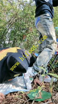 ew24r5mpske.jpg
