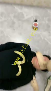 dz0bocmurls.jpg