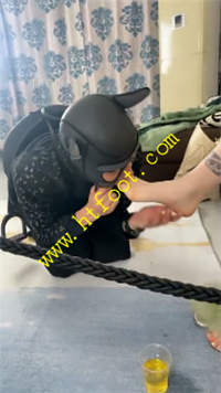 udsh4t5o5ef.jpg
