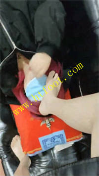 k331jndgd11.jpg