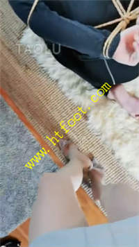 lb5twz0okyd.jpg