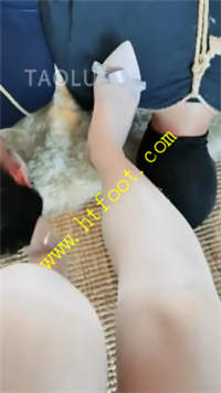 k3tlp4odd3x.jpg
