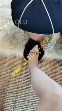 cegq34ab5tk.jpg