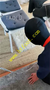 x003l2hm4nw.jpg