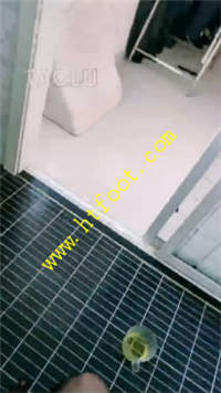 gfar2zyfskx.jpg