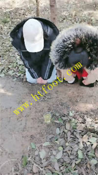 omlryfw11it.jpg
