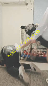 5ufizyy2qtm.jpg