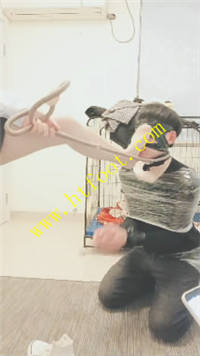 znaaxh2tpet.jpg