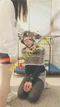 vp304nnakhk.jpg