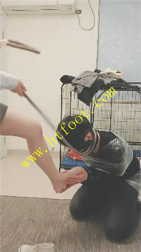 wzshbbm5fy3.jpg