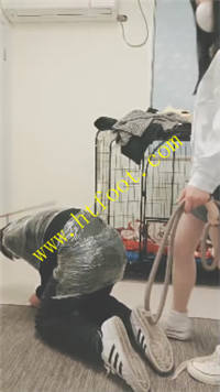 husfyr5u3zm.jpg
