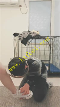 vbjrazmkq5t.jpg