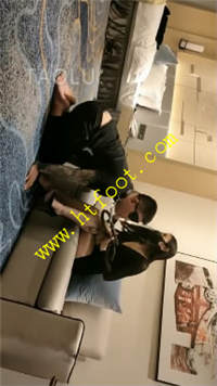 u5pedsd5www.jpg