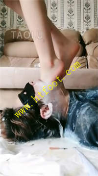 zfwfrph331r.jpg