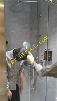 wddmp1t31p5.jpg