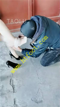sx1ems54b3j.jpg