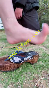 hgv4yo1u5an.jpg